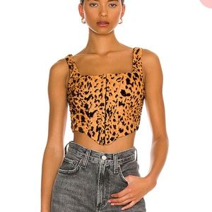 Savanah Bustier Top in Leopard